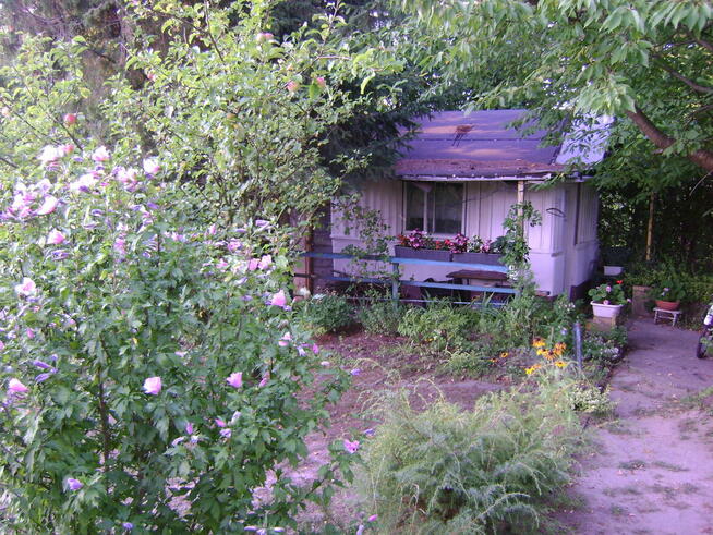 Działka ROD w ogródkach działkowych ul Nałęczowska