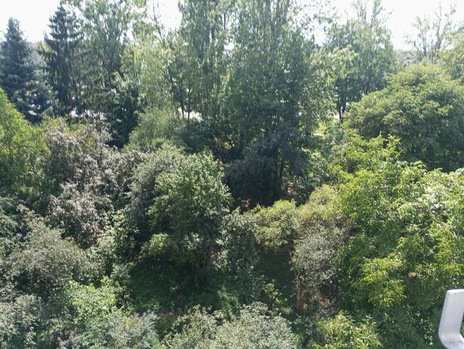 Sprzedam mieszkanie 49 m