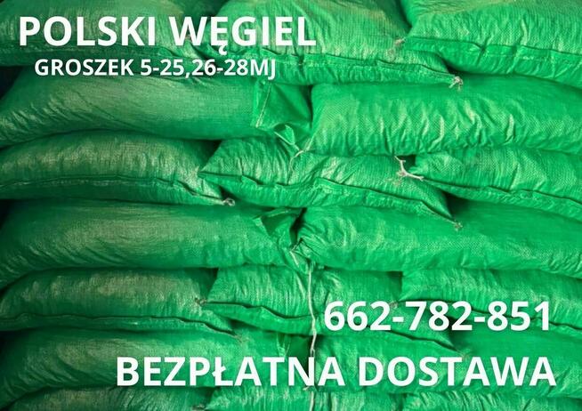 POLSKI WĘGIEL Groszek (5-25) 26-28MJ -PIASECZNO I OKOLICE
