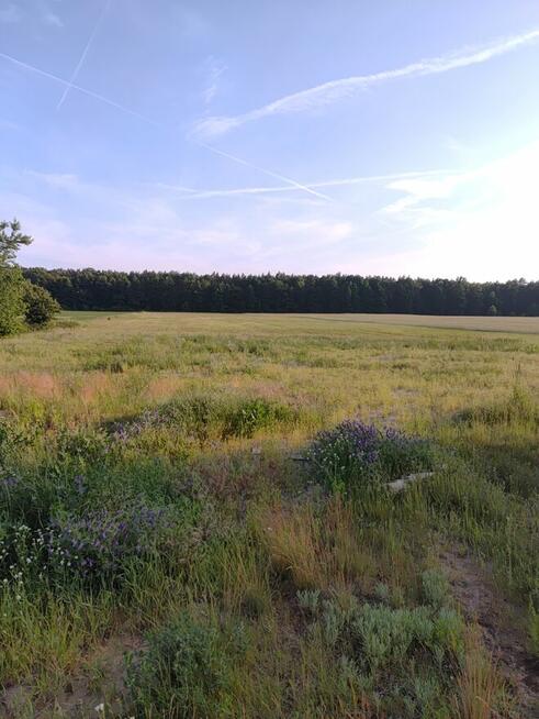 Dzialki na sprzedaż