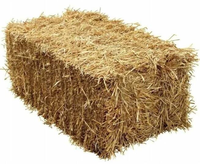 Słoma luzem. Oddam za darmo.