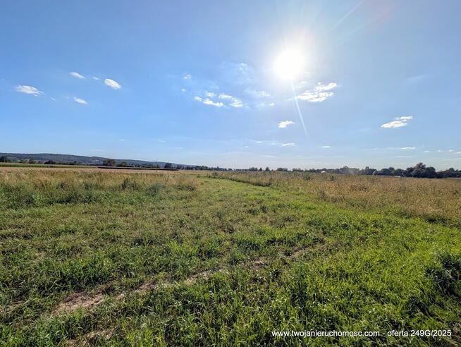 Paszczyna - działka na sprzedaż