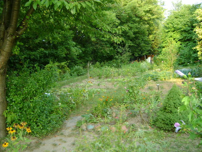 Działka ROD w ogródkach działkowych ul Nałęczowska