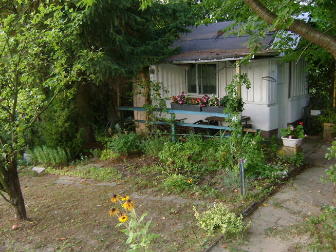 Działka ROD w ogródkach działkowych ul Nałęczowska