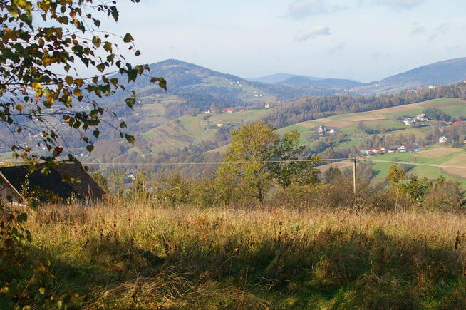 Sprzedam dom w leśnym zaciszu koło Limaniwej/Beskid Wyspowy