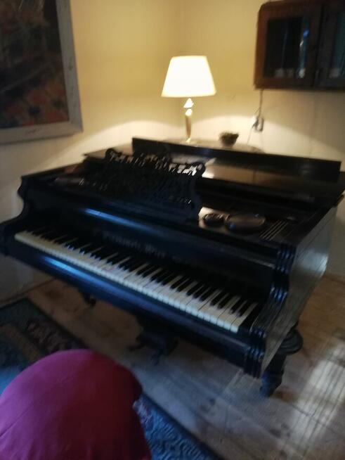 Sprzedam dom w leśnym zaciszu koło Limaniwej/Beskid Wyspowy