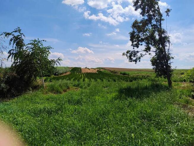 Do sprzedania siedlisko, gospodarstwo rolne Nowy Pożóg.