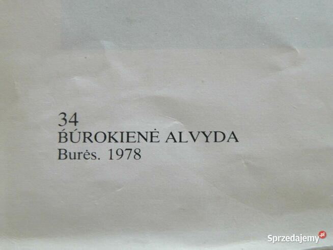 Gobelin - 185 x 90 cm - Ręcznie tkany , wełna