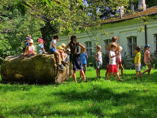 Koordynator-instruktor zajęć leśnych w Fundacji Odjazdów