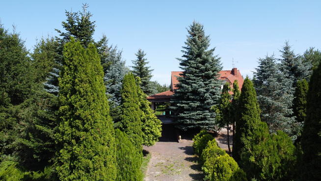 Dom z dwoma stawami i basenem Krobia