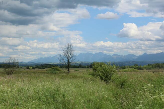 Działka Odrowąż widok na Tatry