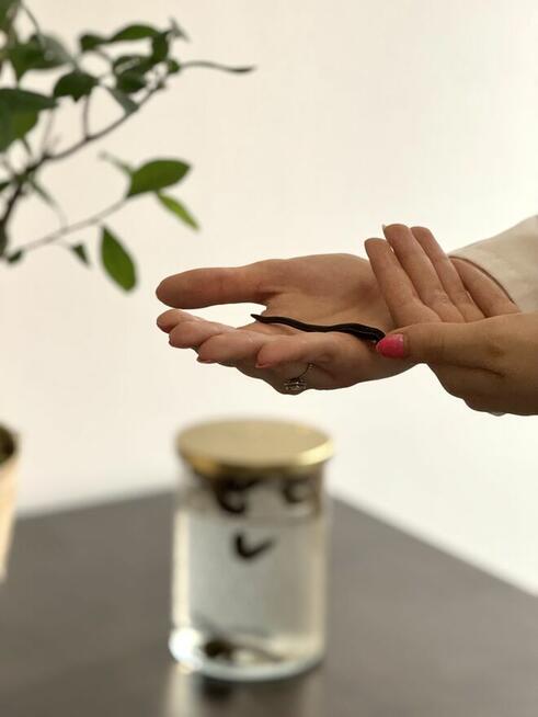 Pijawki lekarskie, bańki ogniowe, konchowanie uszu