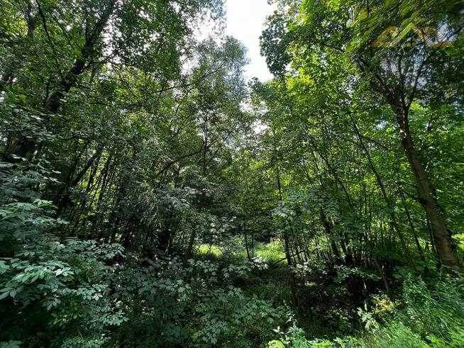 Działka rolno-budowlana Milówka gm. Wojnicz