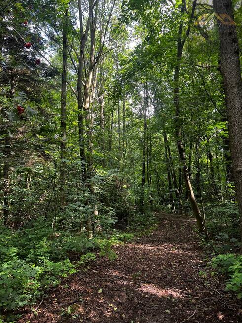 Działka rolno-budowlana Milówka gm. Wojnicz