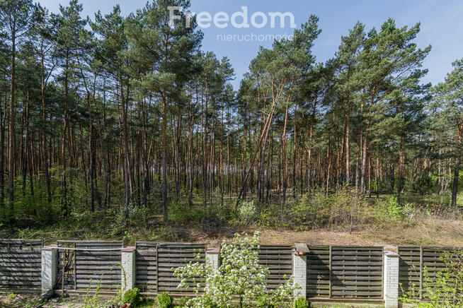 Dom w otoczeniu lasu