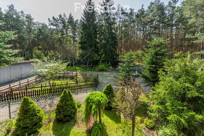 Dom w otoczeniu lasu