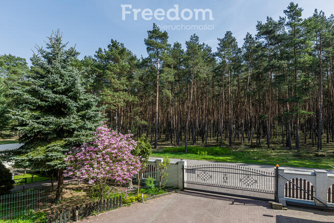 Dom w otoczeniu lasu