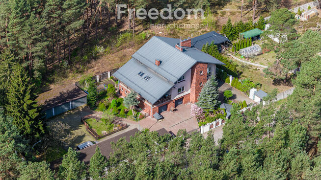 Dom w otoczeniu lasu