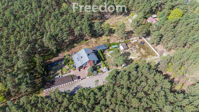 Dom w otoczeniu lasu