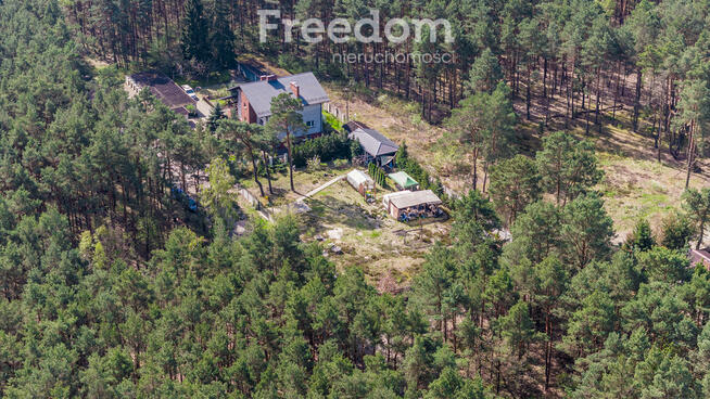 Dom w otoczeniu lasu