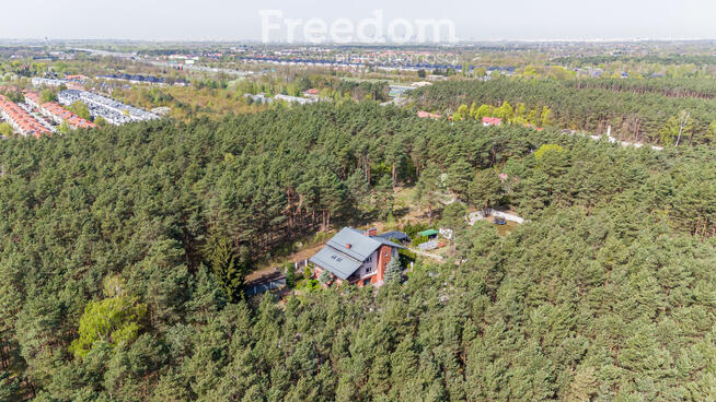 Dom w otoczeniu lasu