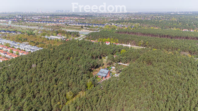 Dom w otoczeniu lasu