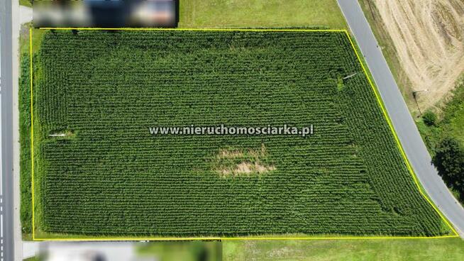 Działka budowlana Gorzyce