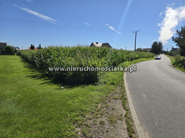 Działka budowlana Gorzyce