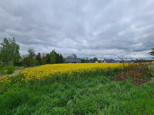 Działka budowlana Bałdowo gm. Tczew, Świętego Wojciecha