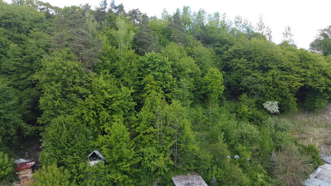 Dom na działce 1,5 km od rynku w Kazimierzu Dolnym