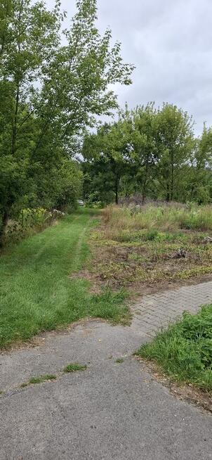 Sprzedam Działkę bezpośrednio