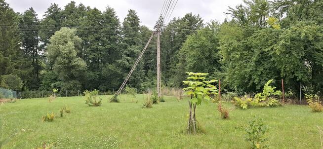 Sprzedam Działkę bezpośrednio