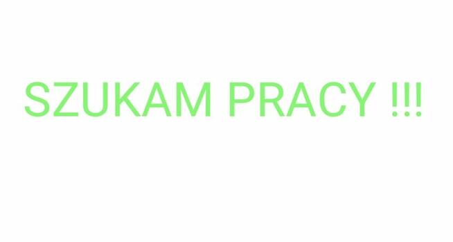 KOBIETA SZUKA PRACY !