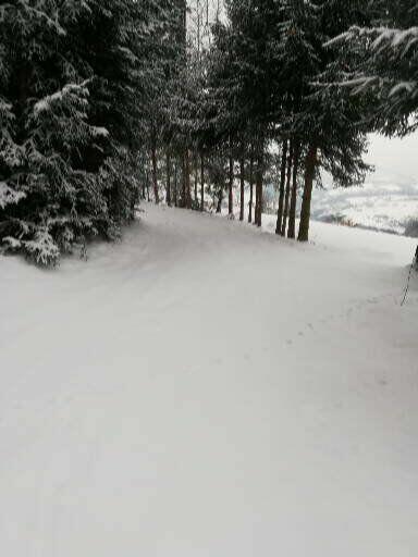 Sprzedam dom w leśnym zaciszu koło Limaniwej/Beskid Wyspowy