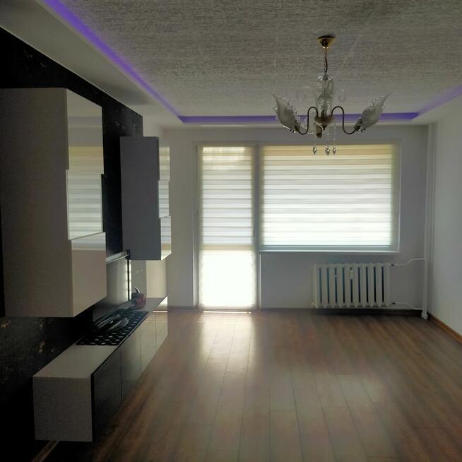 Wynajmę mieszkanie po remoncie w Legnicy