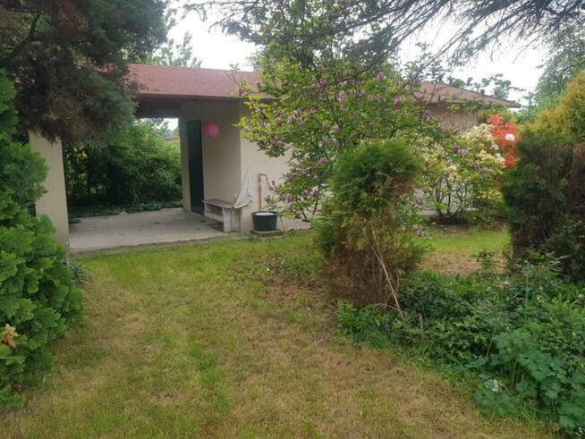 Sprzedam ogródek dzialkowy