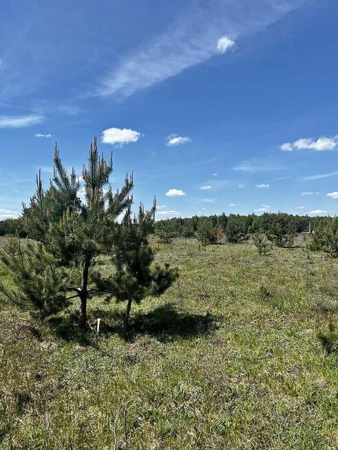 Na sprzedaż działka budowlana 1254 m² – Krzyżówka