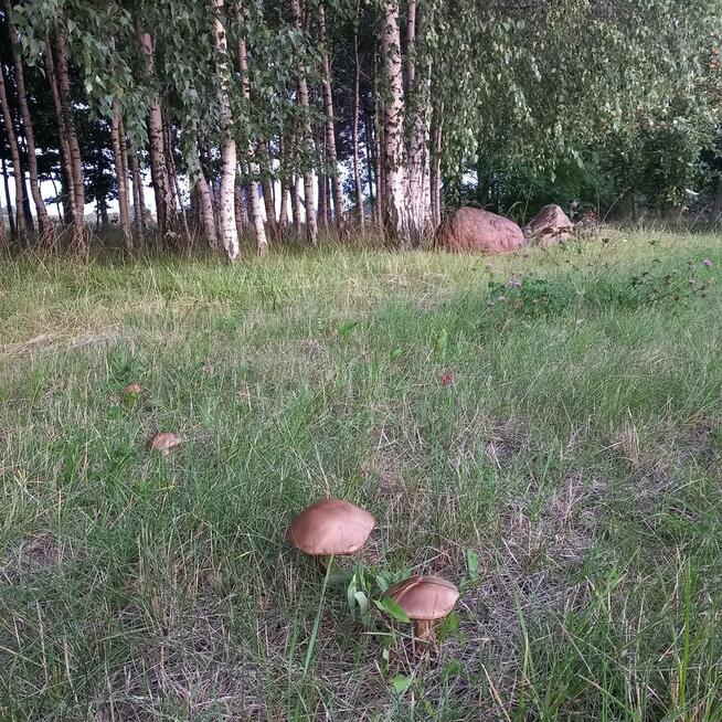 Sprzedam działkę budowlaną