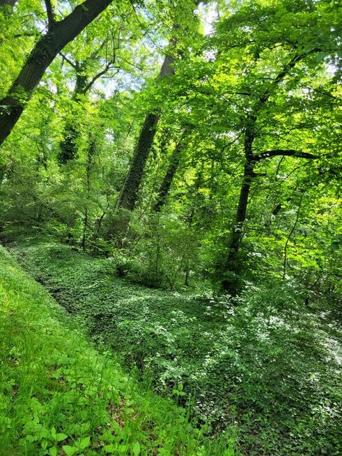 Sprzedam działkę budowlaną