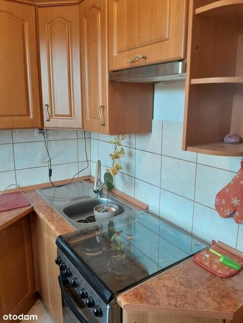 Park na wyciągnięcie ręki !