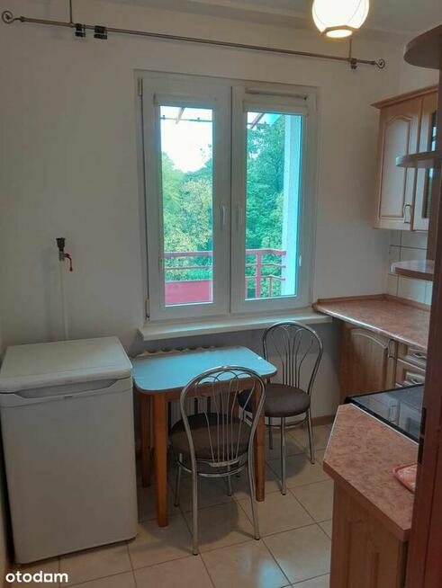 Park na wyciągnięcie ręki !