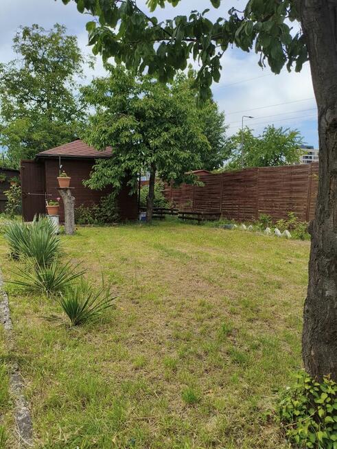 Działka ROD Jedność w Bydgoszczy!!!