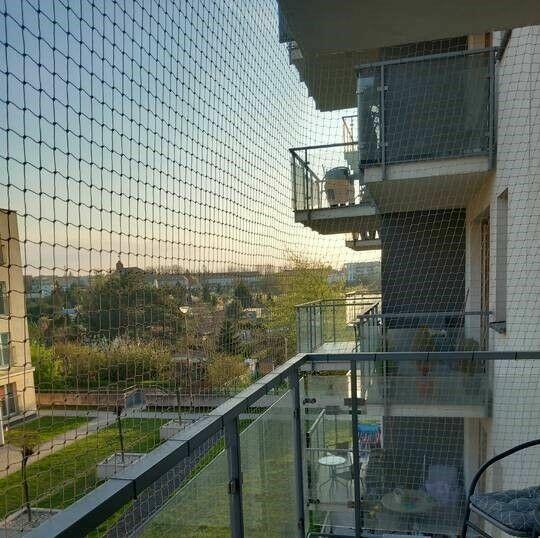 siatka na balkon dla kota, gołębie