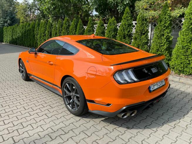 Mustang Ford sprzedam