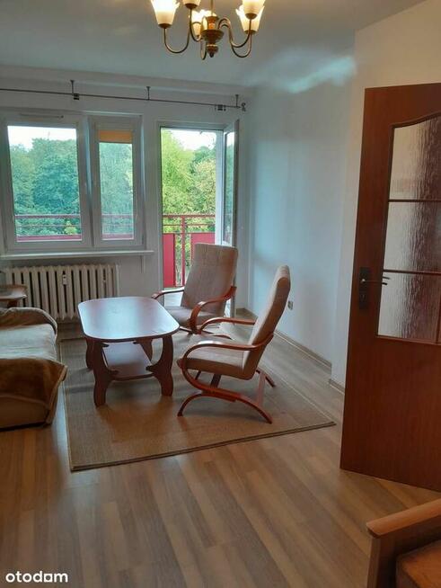 Park na wyciągnięcie ręki !