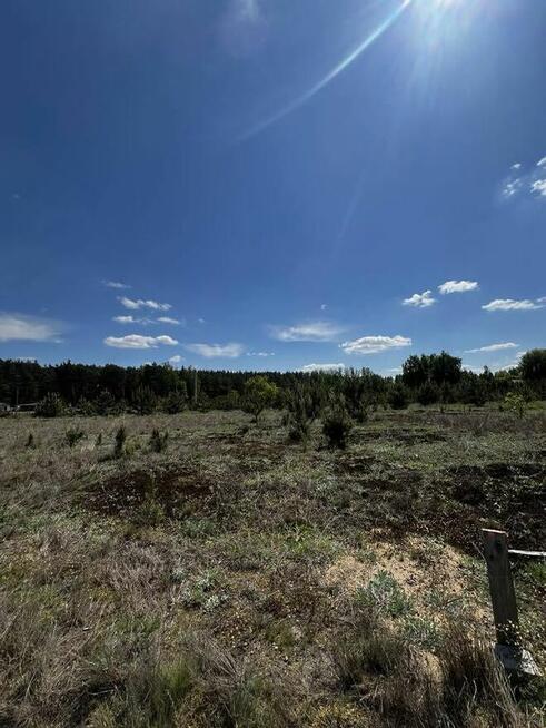 Na sprzedaż działka budowlana 1254 m² – Krzyżówka