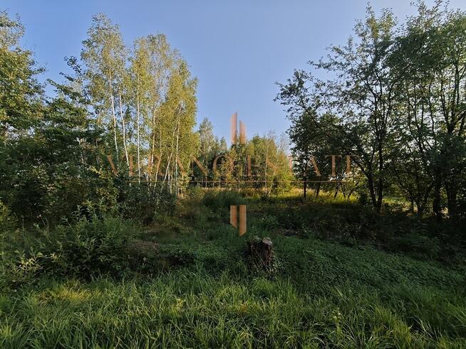 Działka rolna | 3000 m2 | cena do negocjacji