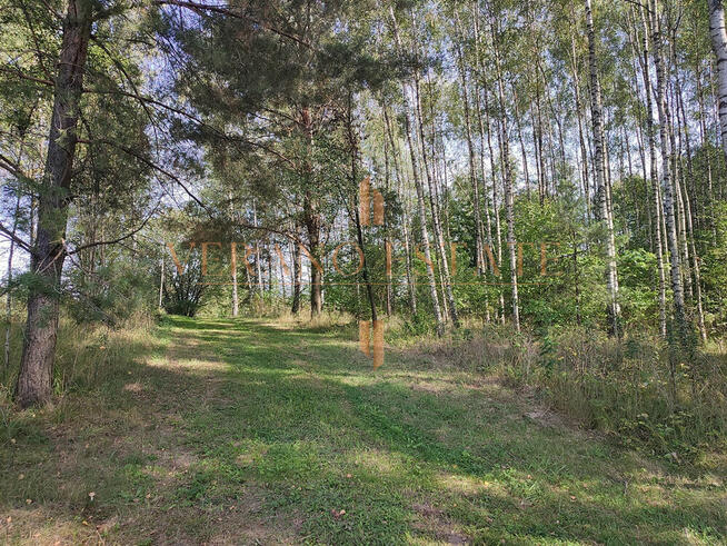 DZIAŁKA ROLNA/INWESTYCYJNA| 6,58HA |BLISKO JEZIORA