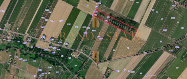 Działka rolna 3,5 ha | Dojazd asfaltowy