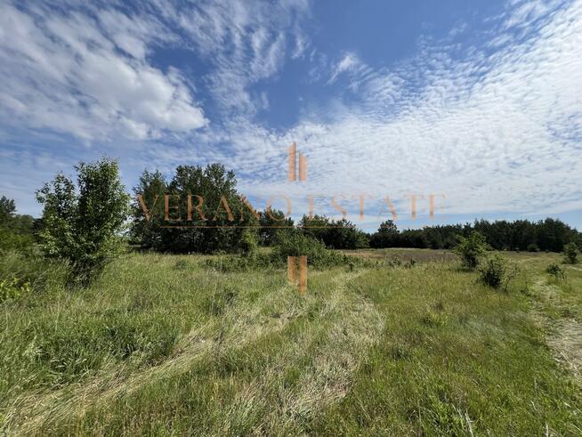 Działka rolna 3,5 ha | Dojazd asfaltowy